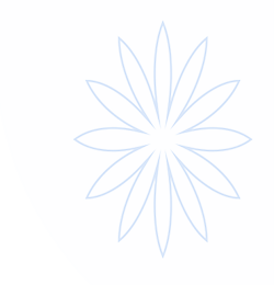 乐玩LEWIN-(国际).顶奢体验